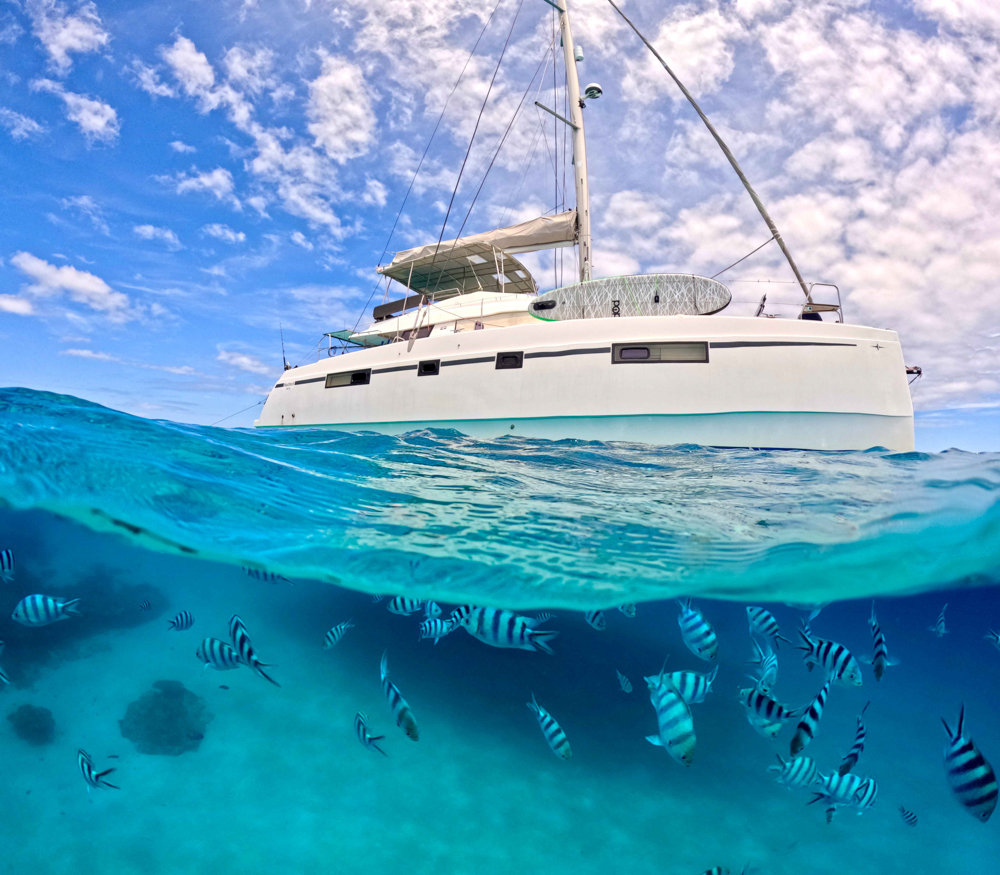 fiji yacht charters grand bleu.JPG fiji yacht charters grand bleu