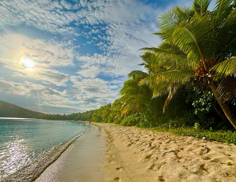 The Growing Movement Toward Digital Wellness Vacations - beach in Fiji